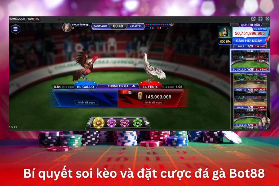 Bí quyết soi kèo và đặt cược đá gà Bot88 hiệu quả
