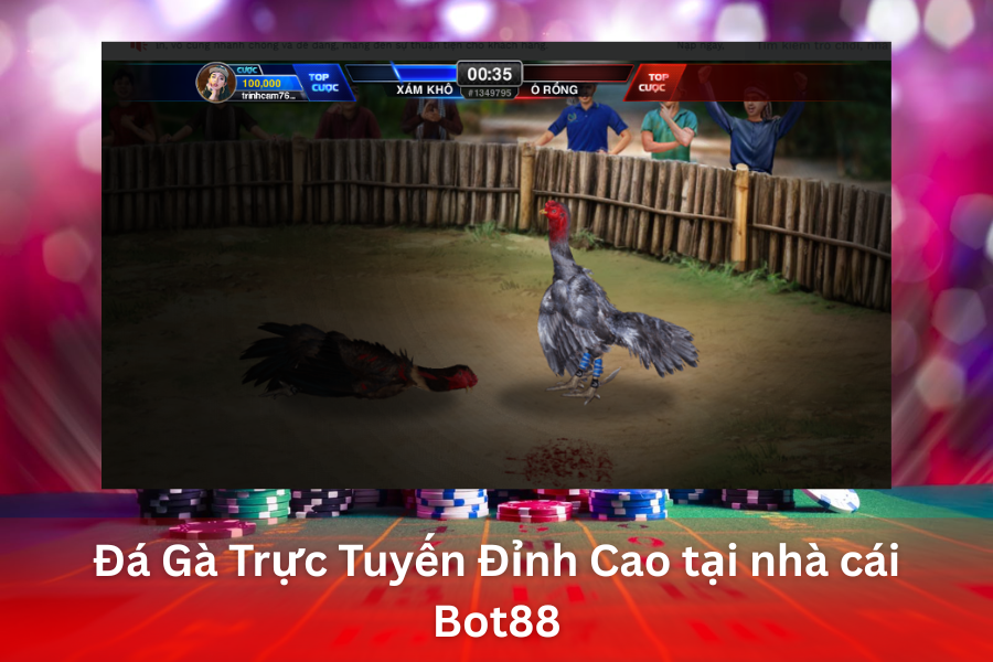Đá gà trực tuyến Bot88