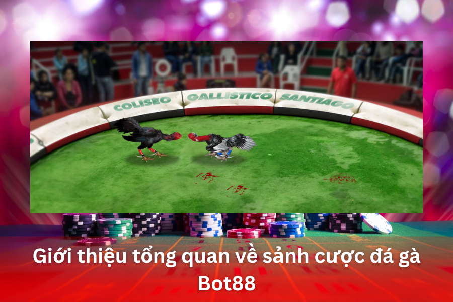 Tổng quan về sảnh cược đá gà Bot88