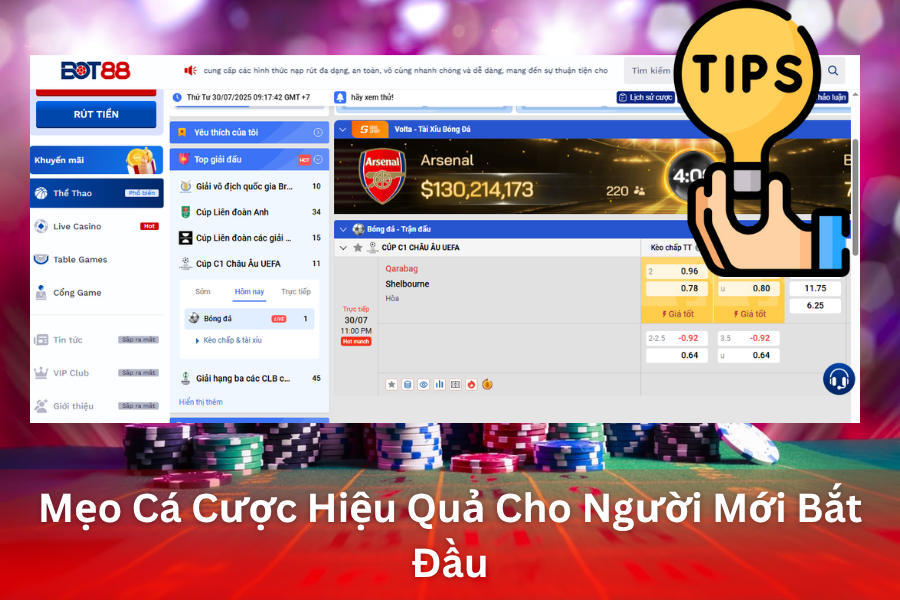 Mẹo Cá Cược Thể Thao Bot88 Hiệu Quả Cho Người Mới Bắt Đầu